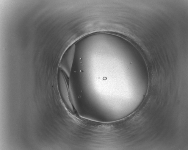 X0000058831513200510071807