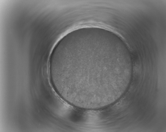 X0000058831514200510071807