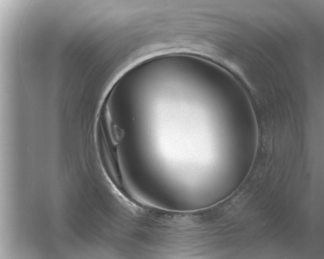 X0000058831516200510071807