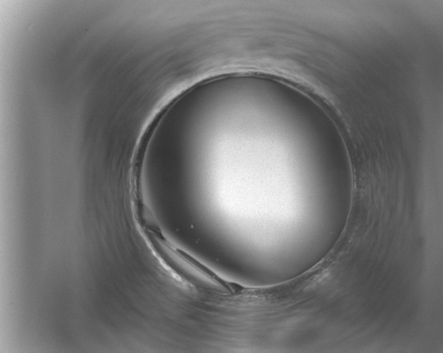 X0000058831517200510071807