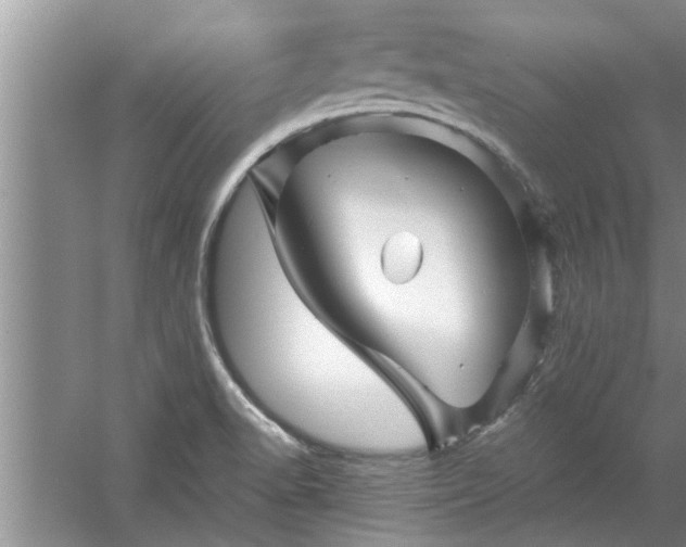 X0000058831518200510071807