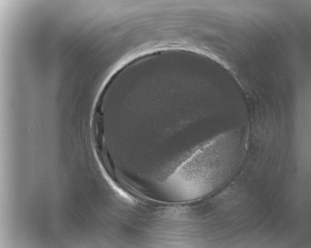 X0000058831519200510071807