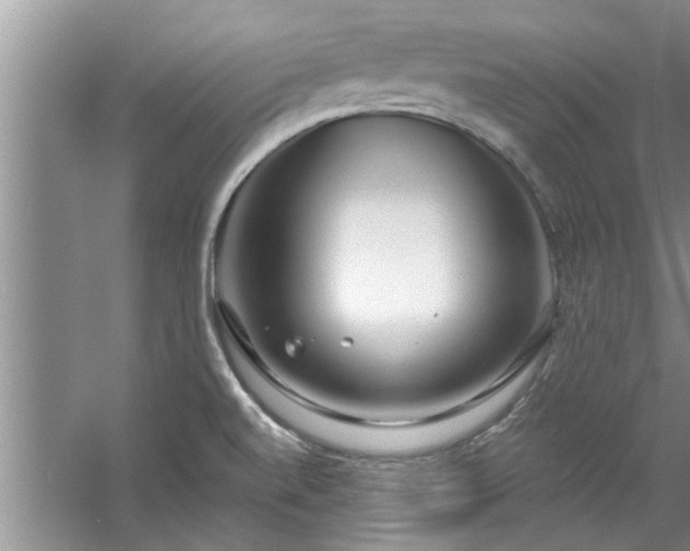 X0000058831520200510071807