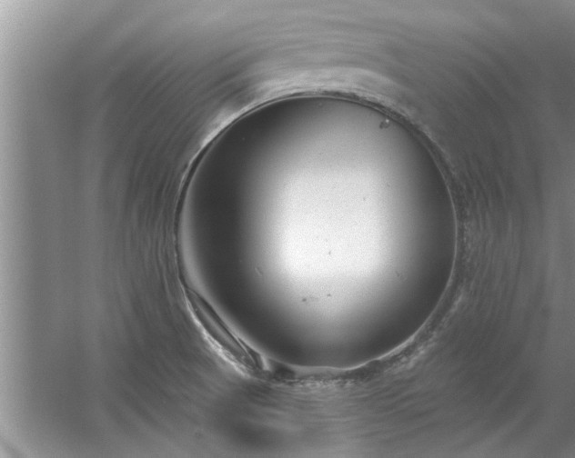 X0000058831521200510071807