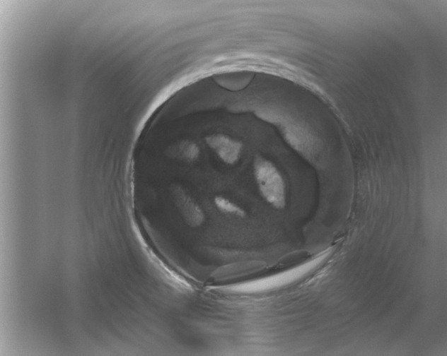 X0000058831522200510071807