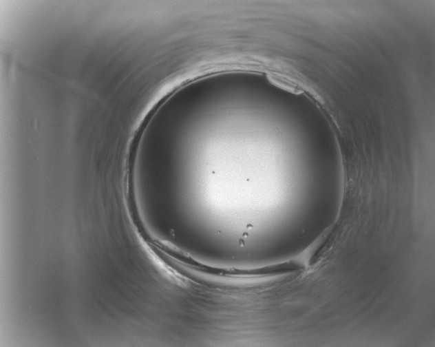 X0000058831523200510071807