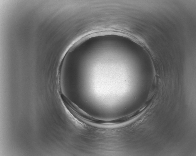 X0000058831524200510071807