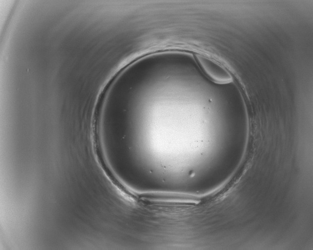 X0000058831525200510071808