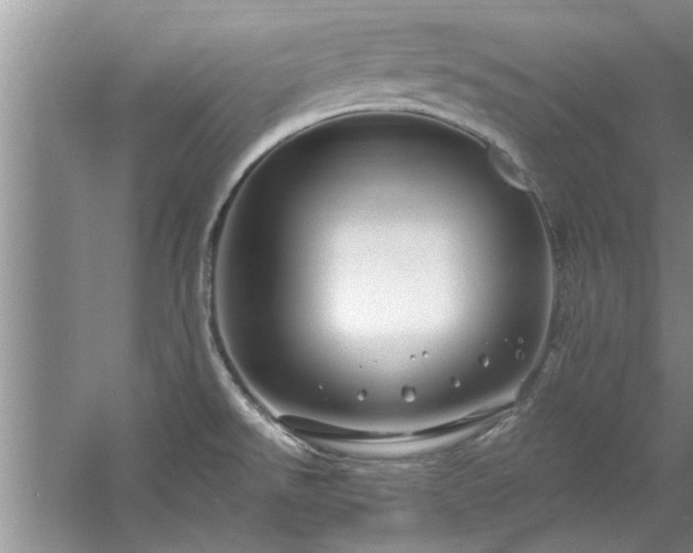 X0000058831526200510071808