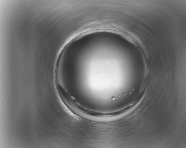 X0000058831528200510071808