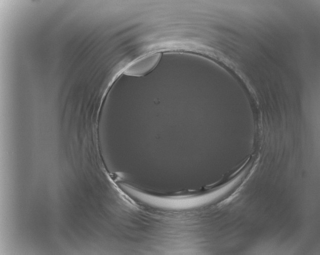 X0000058831529200510071808