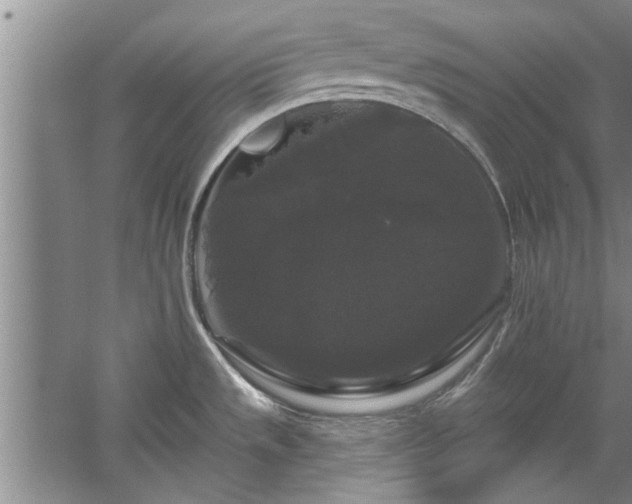 X0000058831533200510071808