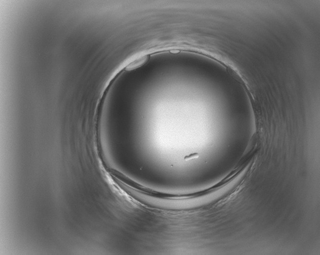 X0000058831534200510071808