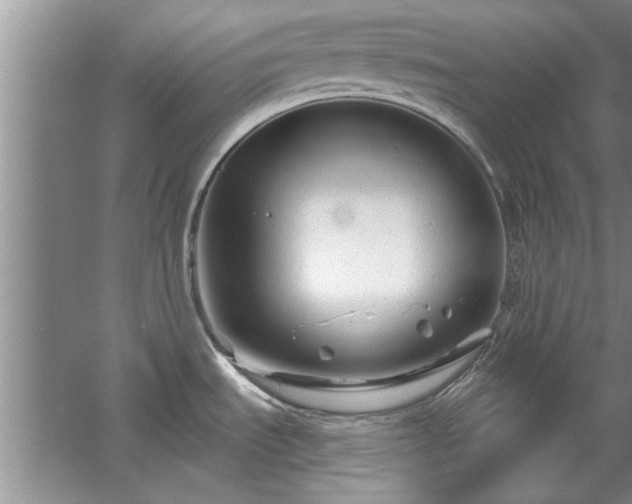 X0000058831535200510071808