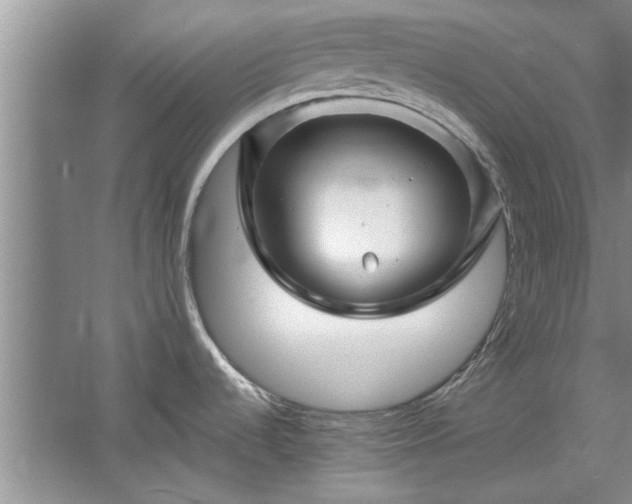 X0000058831536200510071808