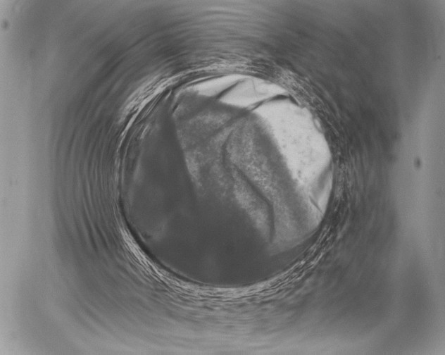 X0000058830002200510171629