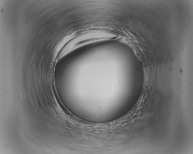 X0000058830003200510171629