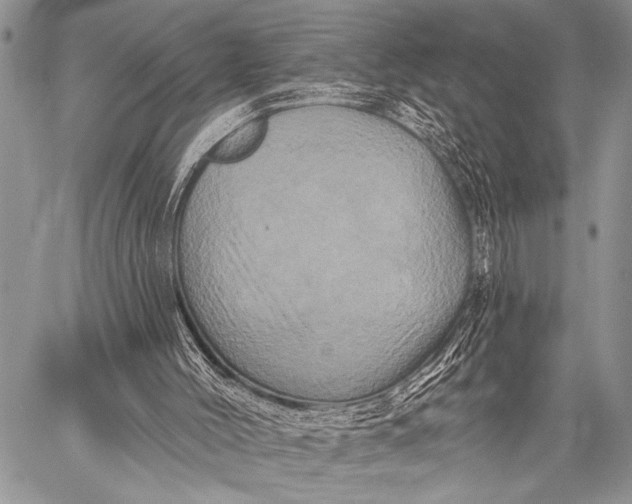 X0000058830004200510171629