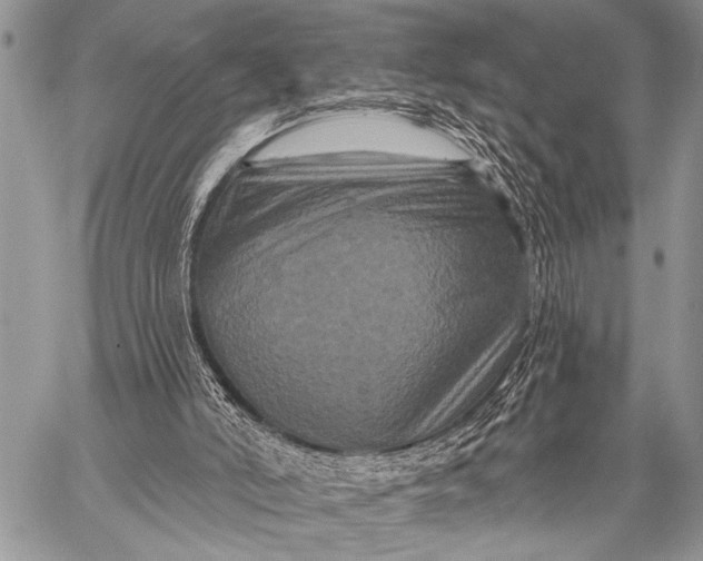 X0000058830006200510171629