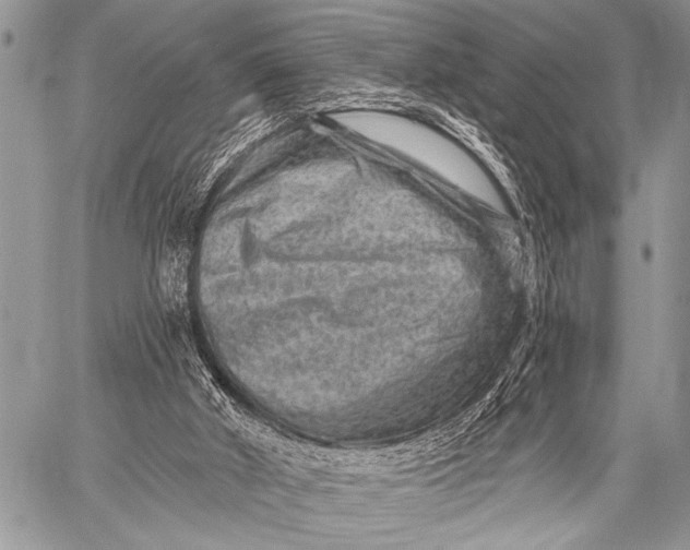 X0000058830010200510171629