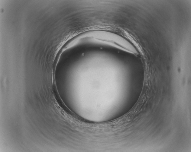 X0000058830011200510171629