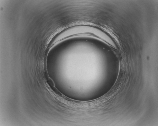 X0000058830015200510171629