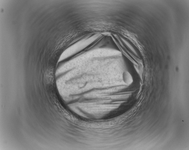 X0000058830017200510171629