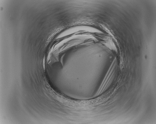 X0000058830019200510171629