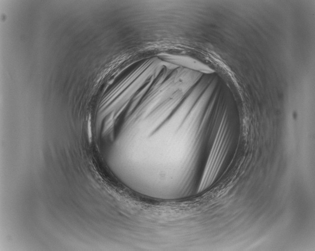 X0000058830020200510171629