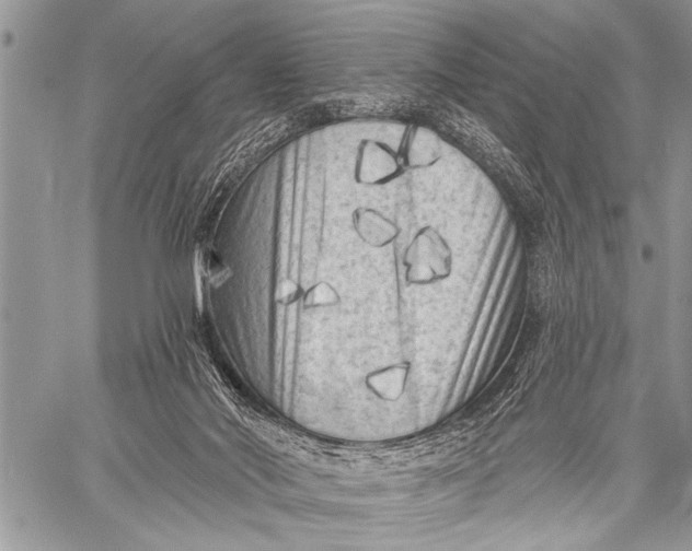 X0000058830022200510171629