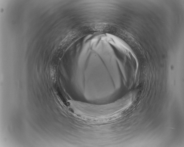 X0000058830031200510171629
