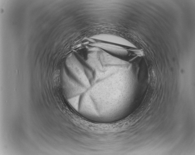 X0000058830034200510171628