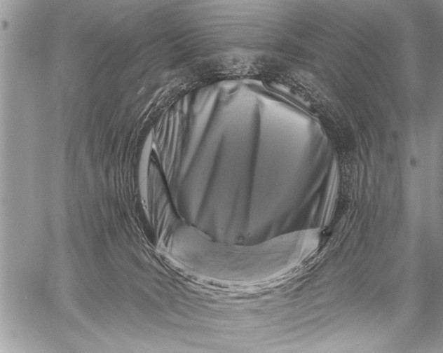X0000058830035200510171628