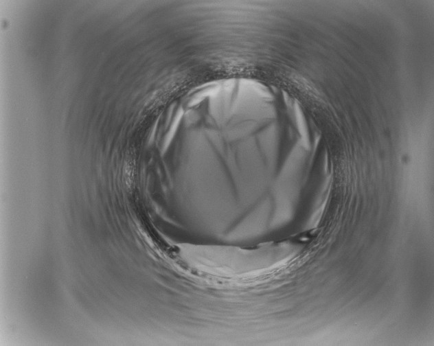 X0000058830039200510171628