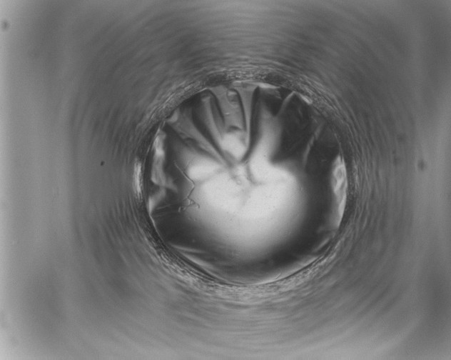 X0000058830041200510171628