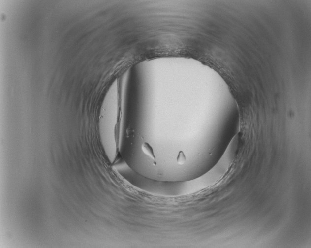 X0000058830045200510171628