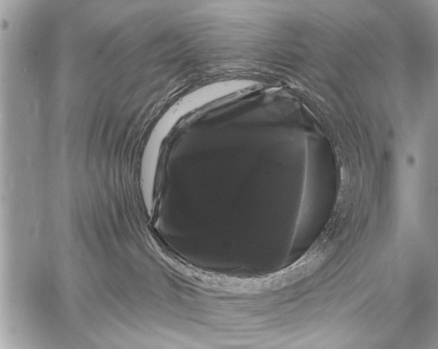 X0000058830048200510171628
