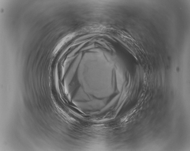 X0000058830054200510171628