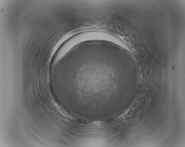 X0000058830056200510171628