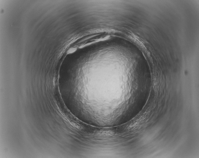 X0000058830063200510171628