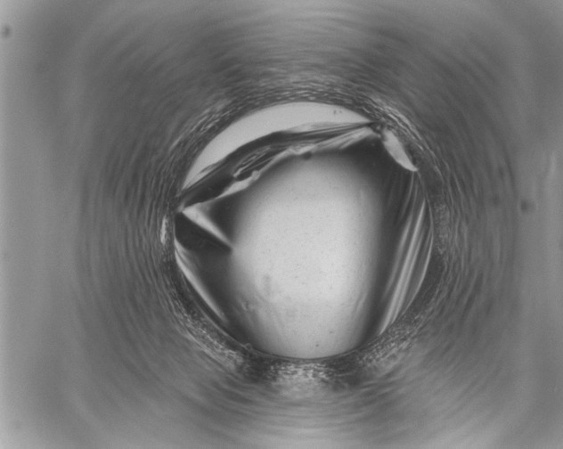 X0000058830077200510171628