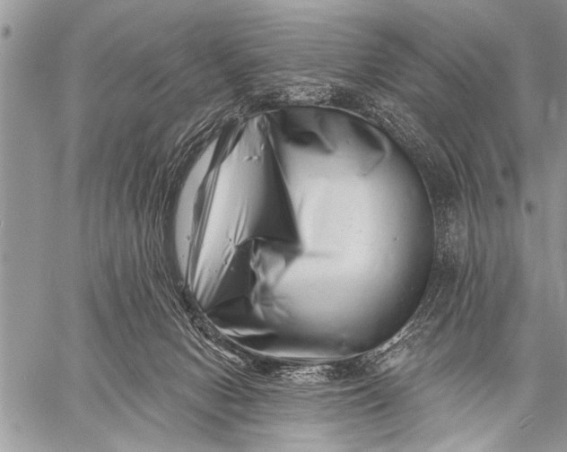 X0000058830078200510171628