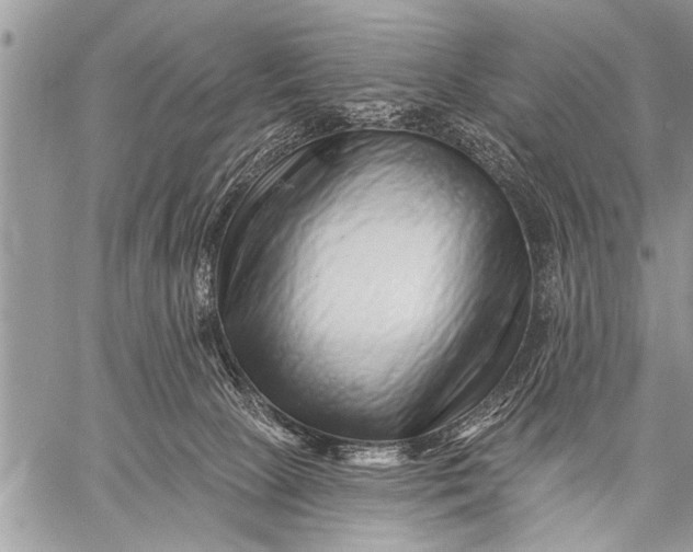 X0000058830081200510171628