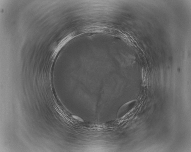 X0000058830099200510171627