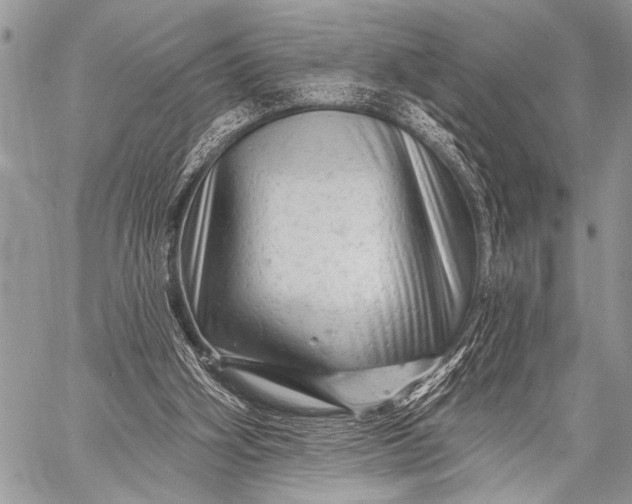 X0000058830106200510171627