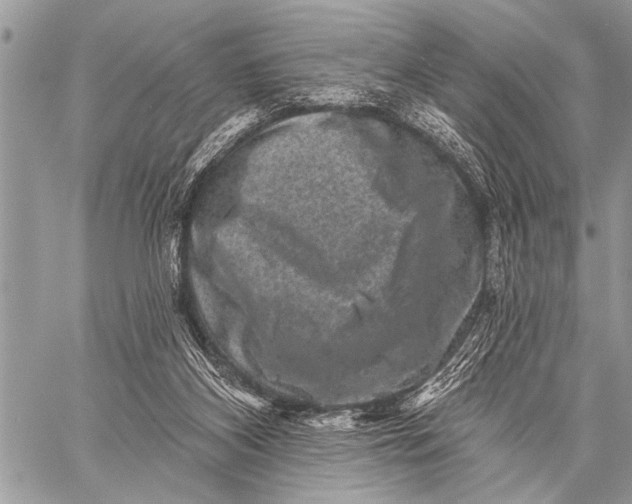 X0000058830116200510171627
