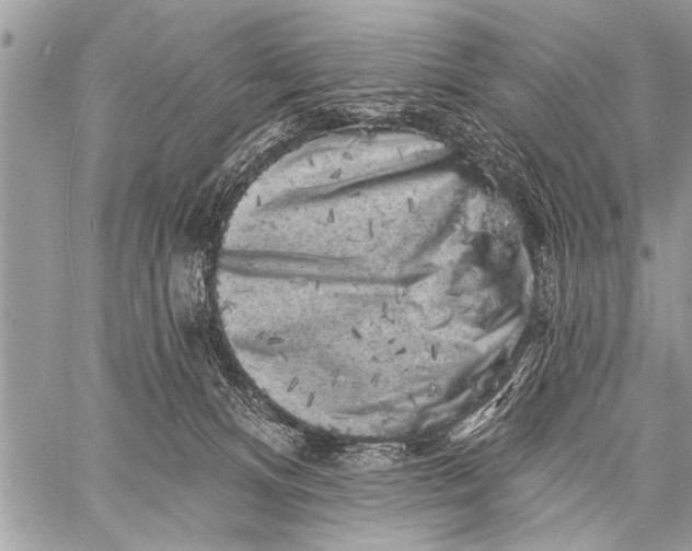 X0000058830128200510171627