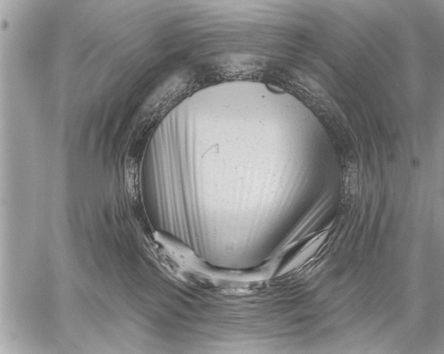 X0000058830138200510171627