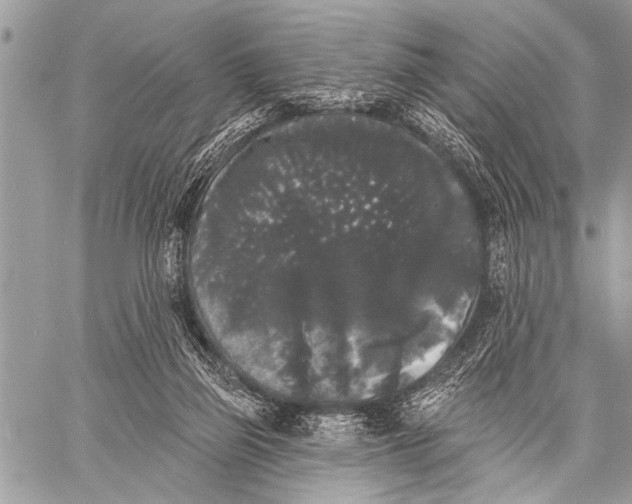 X0000058830165200510171626