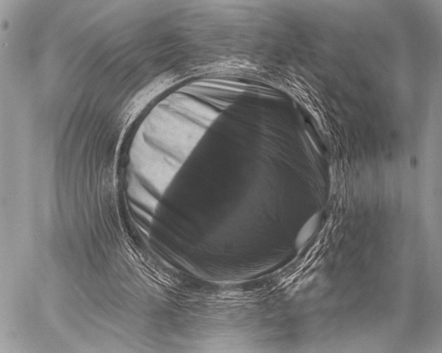 X0000058830196200510171626